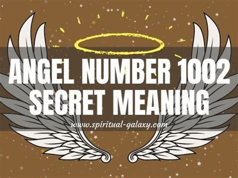 1002 angel number meaning|Angel Number 1002 Meaning (Fully Explained)